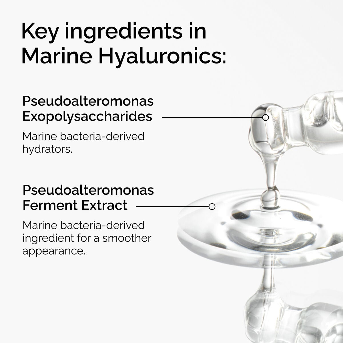 marine-hyaluronics-k5 FY25-D41247-ORD-Web-PDP-Marine-Hya-1x1-EN-2a.jpg