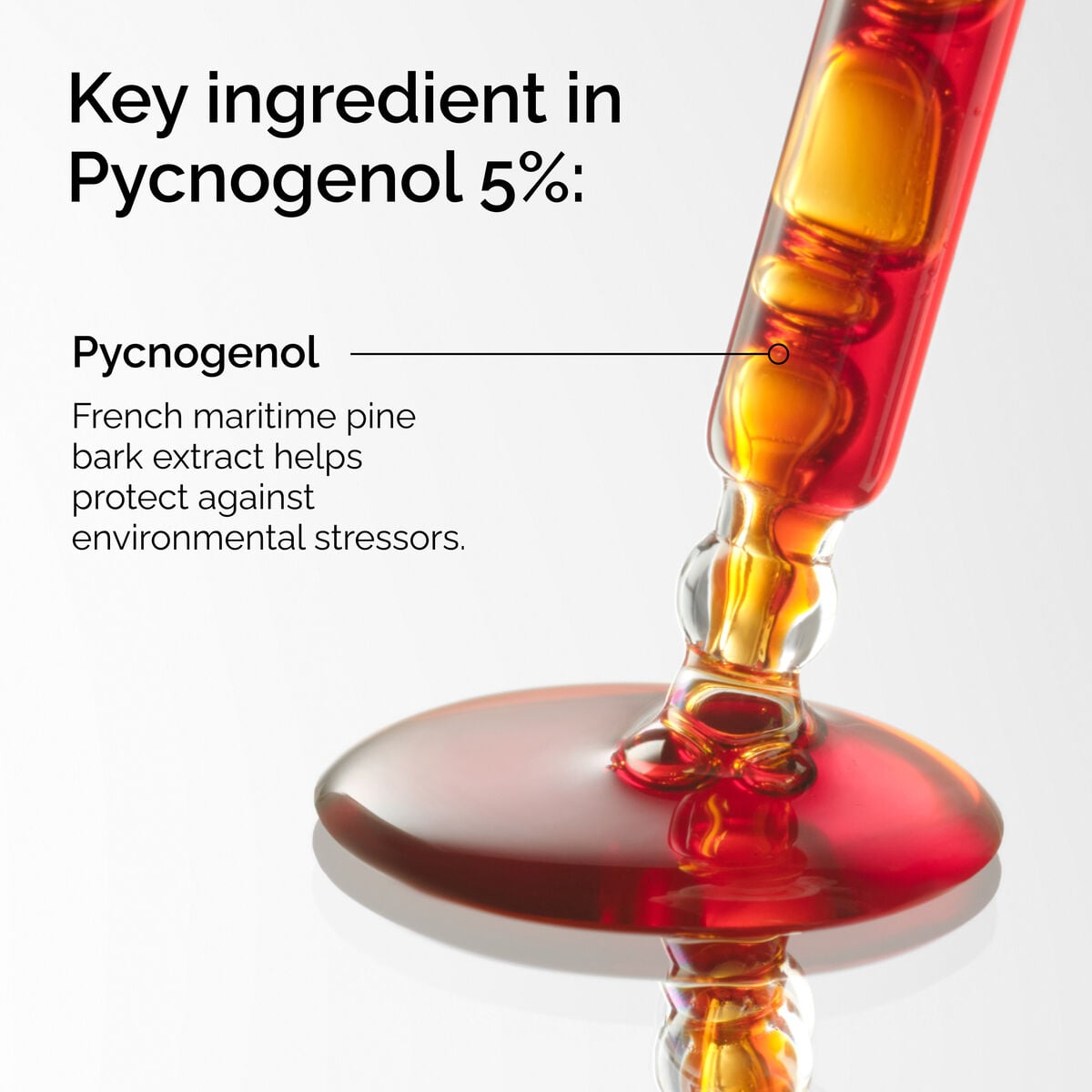 pycnogenol-5-e7 FY25-D41247-ORD-Web-PDP-Pyc-5pct-1x1-EN-2a.jpg