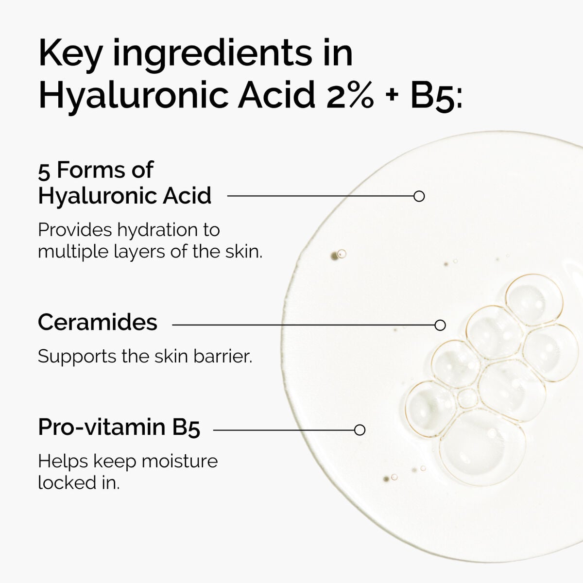 hyaluronic-acid-2-b5-with-ceramides-n9 ord-hyaluronic-acid-2pct-b5-hydrating-serum-ingredients-graphic.jpg