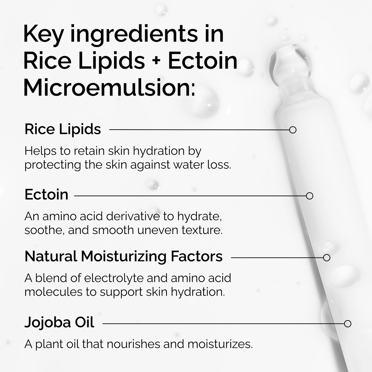 rice-lipids-ectoin-microemulsion-v9 ord-rice-lipids-ectoin-microemulsion-key-ingredients.png