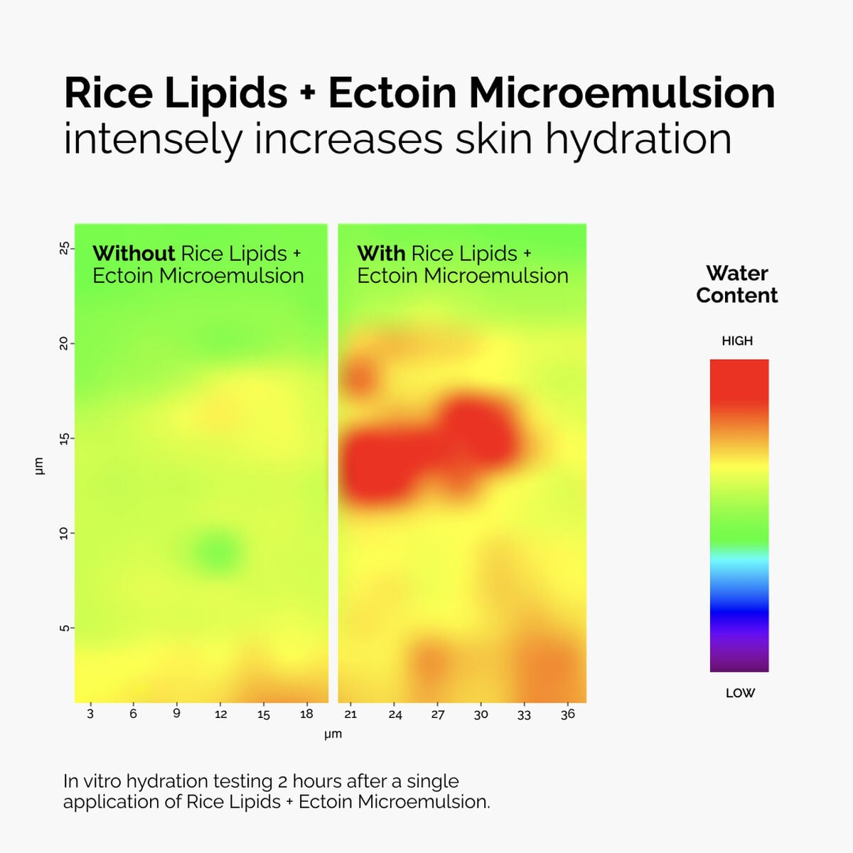 rice-lipids-ectoin-microemulsion-v9 ord-rice-lipids-ectoin-microemulsion-thermal-before-after.jpg